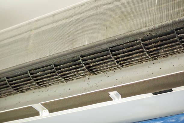 Best Ductwork Cleaning Services  in East Pittsburgh, PA